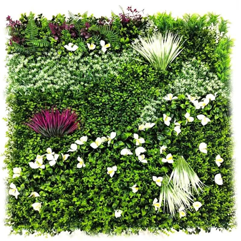 VERDURE VEGETAL EN TUNISIE
